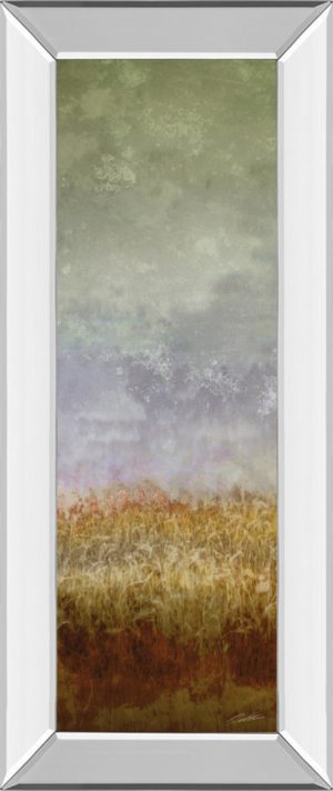 18 in. x 42 in. “Lush Field Il” By John Butler Mirror Framed Print Wall Art
