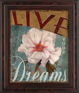 LIVE YOUR DREAM BY KELLY DONOVAN