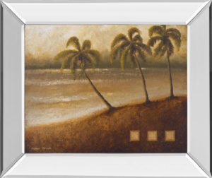 22 in. x 26 in. “Tropical Escape Il” By Michael Marcon Mirror Framed Print Wall Art