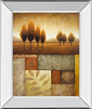 22 in. x 26 in. “Plainview Il” By Michael Marcon Mirror Framed Print Wall Art