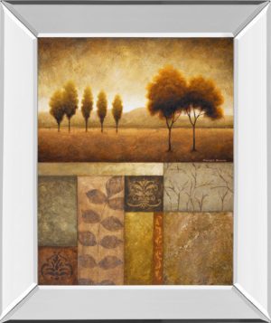 22 in. x 26 in. “Plainview I” By Michael Marcon Mirror Framed Print Wall Art