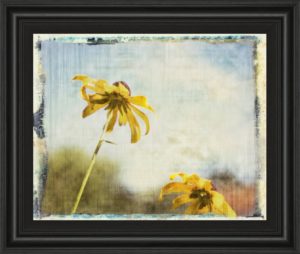 22 in. x 26 in. “Blackeyed Susan Il” By Meghan Mcsweeney Framed Print Wall Art
