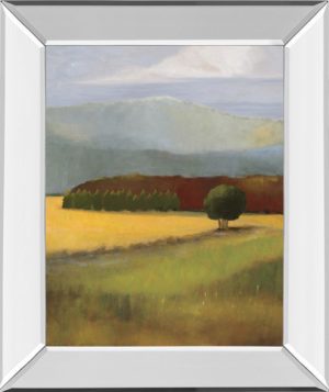 22 in. x 26 in. “Field Of Gold” By Judith D’Agostino Mirror Framed Print Wall Art