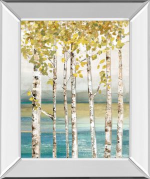 22 in. x 26 in. “Down” By The River I” By Allison Pearce Mirror Framed Print Wall Art
