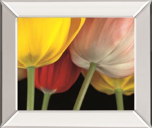 SUNSHINE TULIPS BY FRANK, A.