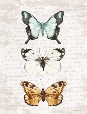 FRAMED – BUTTERFLY TRIO BY LETTERED & LINED