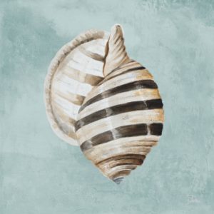 FRAMED – MODERN SHELL ON TEAL I BY PATRICIA PINTO