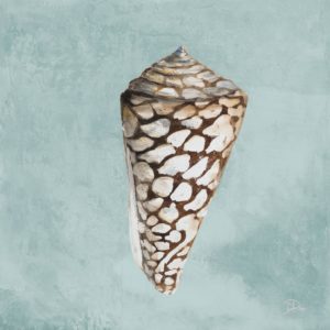 FRAMED SMALL – MODERN SHELL ON TEAL II BY PATRICIA PINTO