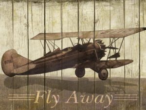 FRAMED – FLY AWAY BY MERRI PATTINIAN