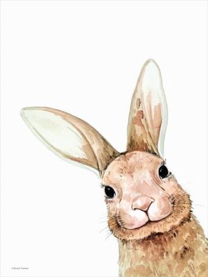 Fluffy Peekaboo Bunny by Rachel Nieman (FRAMED)(SMALL)