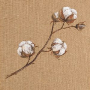 Cotton Branch I by Patricia Pinto (SMALL)
