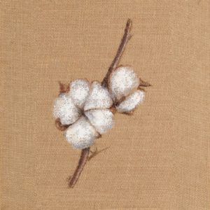 Cotton Branch II by Patricia Pinto (SMALL)