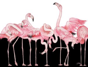 Black And White Meets Flamingos by Elizabeth Medley (FRAMED)(SMALL)