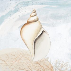 Ocean Oasis Tropical Seashell I by Patricia Pinto (SMALL)