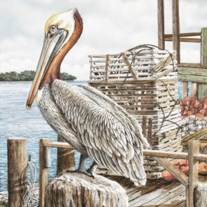 Majestic Pelican by James Harris