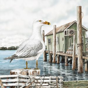 Majestic Seagull by James Harris (SMALL)