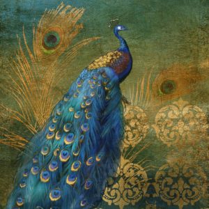 Peacock Bliss by Nan