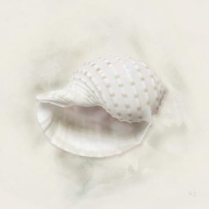 Soft Sand and Shell IV by Susan Jill (FRAMED)