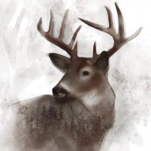 Forest Deer by Carol Robinson (FRAMED)