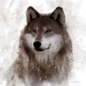 Forest Wolf by Carol Robinson (FRAMED)(SMALL)