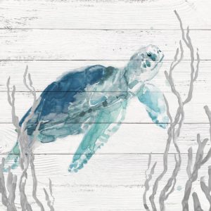 Aqua Turtle I by Carol Robinson (FRAMED)(SMALL)