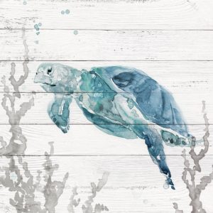 Aqua Turtle II by Carol Robinson (FRAMED)