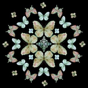 Butterfly Kaleidoscope by Carol Robinson (FRAMED)(SMALL)